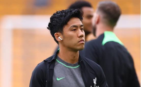 凯尔特人vs森林狼伤病报告：布朗出战成疑，森林狼全员健康